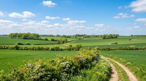Il dilemma delle siepi: tra agricoltori della Somme e tutela dell’ambiente